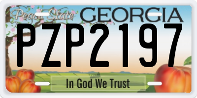 GA license plate PZP2197