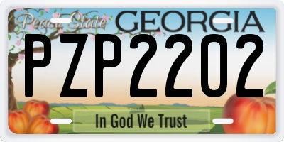 GA license plate PZP2202