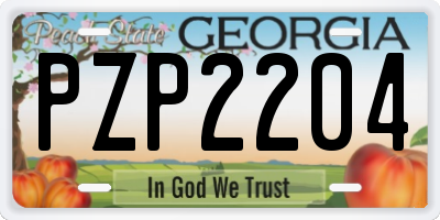 GA license plate PZP2204
