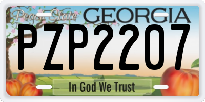 GA license plate PZP2207