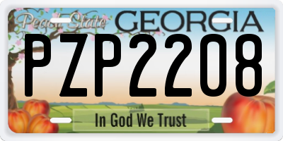 GA license plate PZP2208