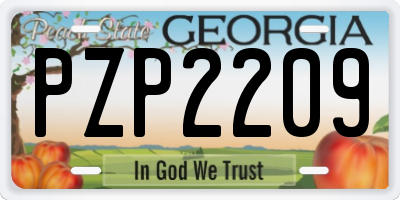 GA license plate PZP2209