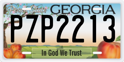 GA license plate PZP2213