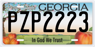 GA license plate PZP2223