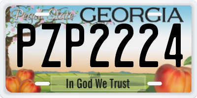 GA license plate PZP2224