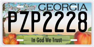 GA license plate PZP2228