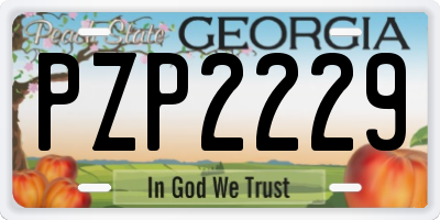 GA license plate PZP2229