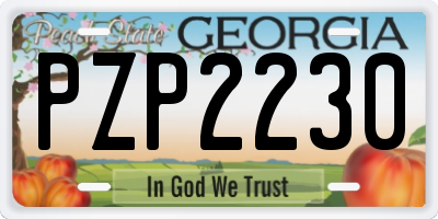 GA license plate PZP2230