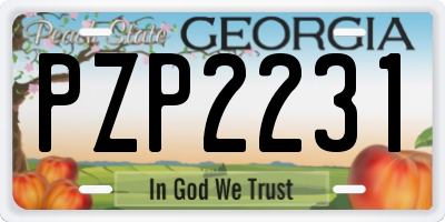 GA license plate PZP2231