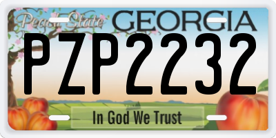 GA license plate PZP2232