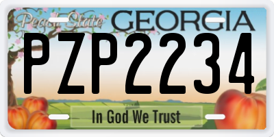 GA license plate PZP2234