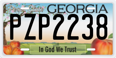 GA license plate PZP2238