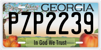 GA license plate PZP2239
