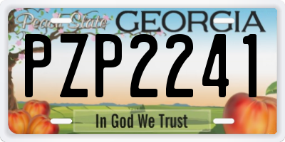 GA license plate PZP2241