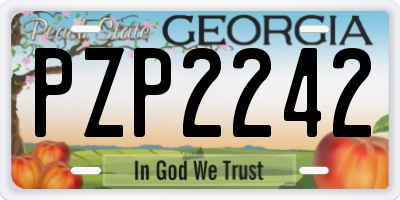 GA license plate PZP2242