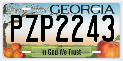GA license plate PZP2243