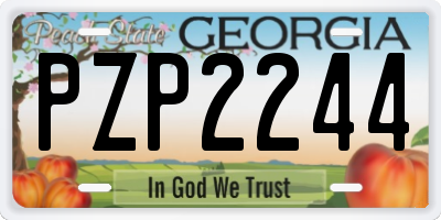 GA license plate PZP2244