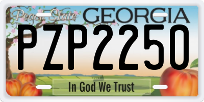 GA license plate PZP2250