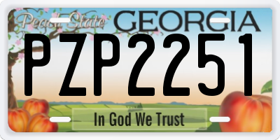 GA license plate PZP2251