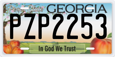 GA license plate PZP2253