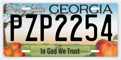 GA license plate PZP2254