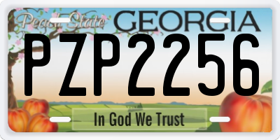 GA license plate PZP2256