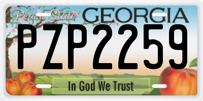 GA license plate PZP2259