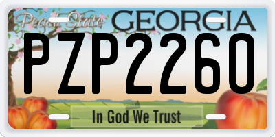 GA license plate PZP2260