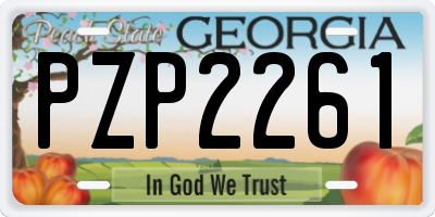 GA license plate PZP2261