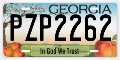 GA license plate PZP2262