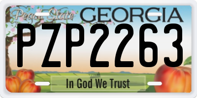 GA license plate PZP2263