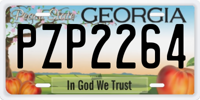 GA license plate PZP2264