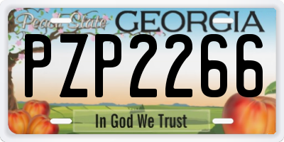 GA license plate PZP2266