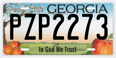 GA license plate PZP2273