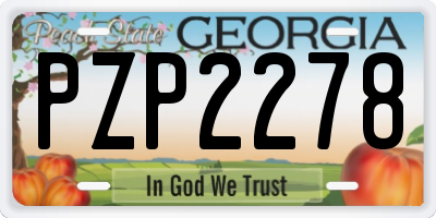 GA license plate PZP2278