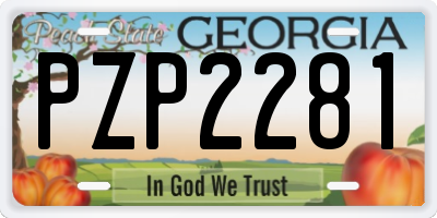 GA license plate PZP2281