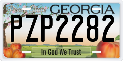 GA license plate PZP2282