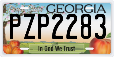 GA license plate PZP2283