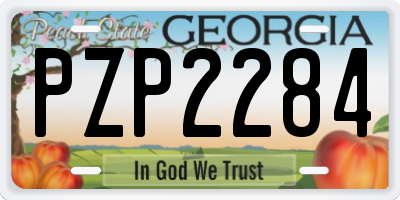 GA license plate PZP2284