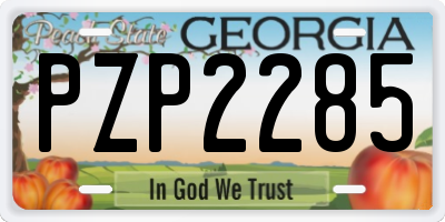 GA license plate PZP2285