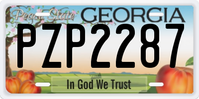 GA license plate PZP2287