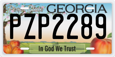 GA license plate PZP2289