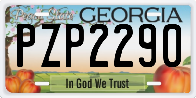 GA license plate PZP2290