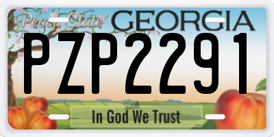 GA license plate PZP2291