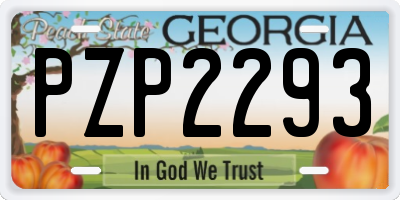 GA license plate PZP2293