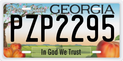 GA license plate PZP2295