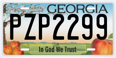 GA license plate PZP2299