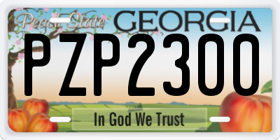 GA license plate PZP2300