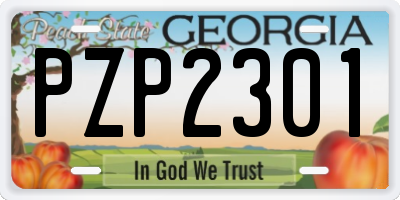 GA license plate PZP2301
