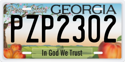 GA license plate PZP2302